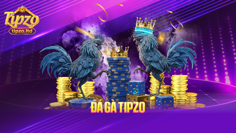 Đá gà TIPZO