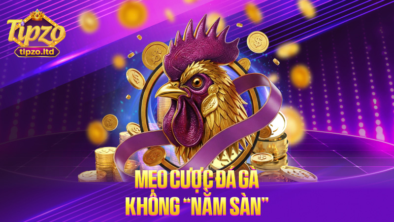 Mẹo cược đá gà không “nằm sàn”